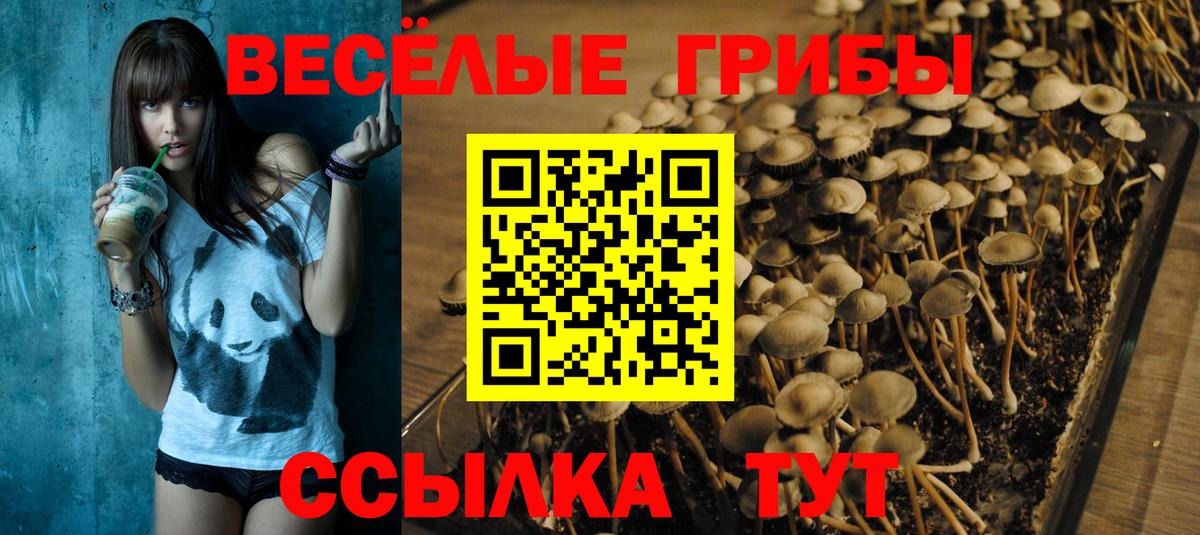 Галлюциногенные грибы прущие грибы Буйнакск