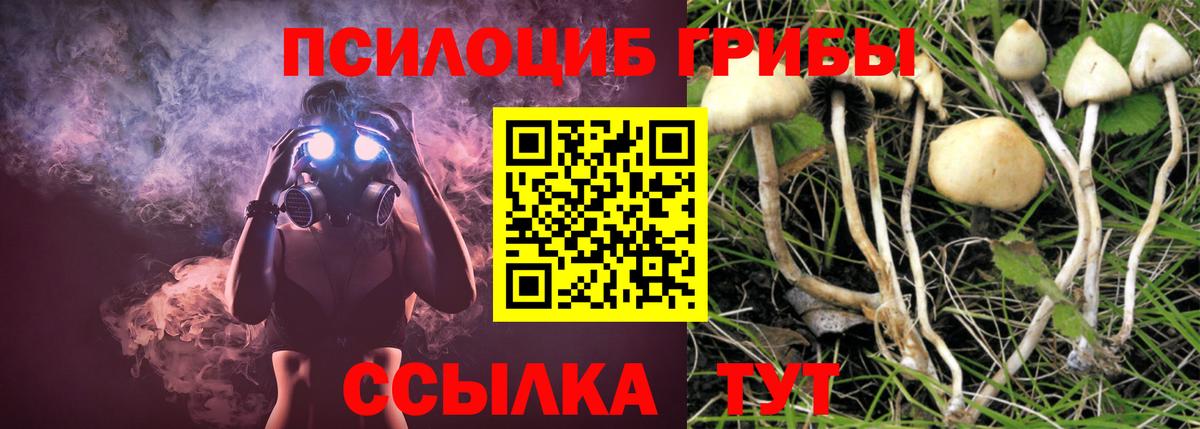 Буйнакск  Галлюциногенные грибы Cubensis  Вход с VPN 